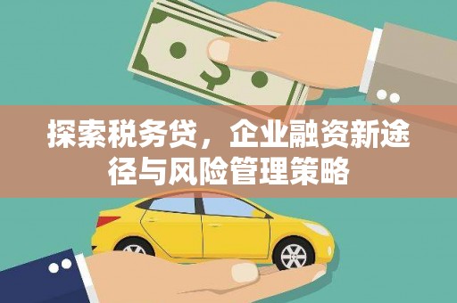 溪州探索税务贷，企业融资新途径与风险管理策略
