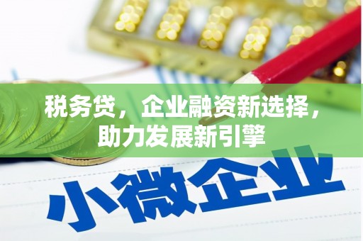 郴州税务贷，企业融资新选择，助力发展新引擎