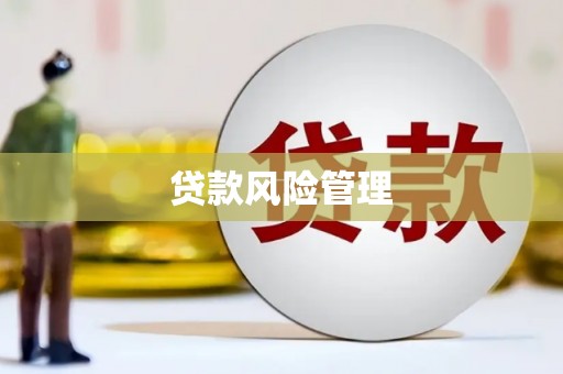 浦东贷款风险管理