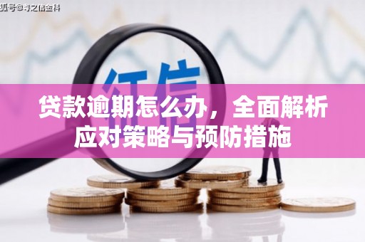 边坝贷款逾期怎么办，全面解析应对策略与预防措施