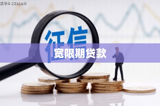 苗栗宽限期贷款