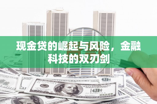 弥陀现金贷的崛起与风险，金融科技的双刃剑