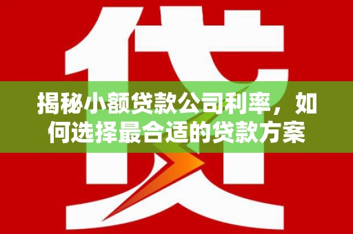 竹溪揭秘小额贷款公司利率，如何选择最合适的贷款方案