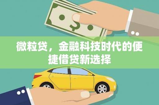 兴山微粒贷，金融科技时代的便捷借贷新选择