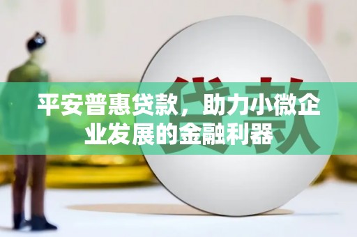 佛坪平安普惠贷款，助力小微企业发展的金融利器