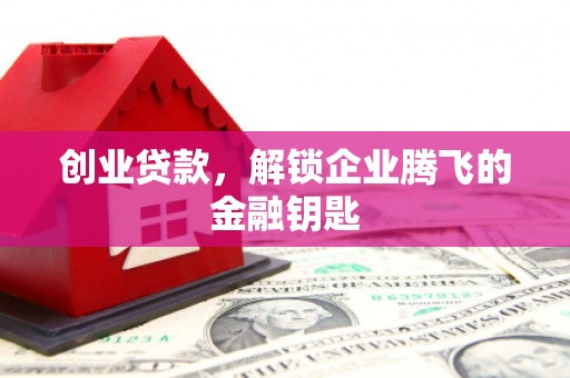 万宁创业贷款，解锁企业腾飞的金融钥匙