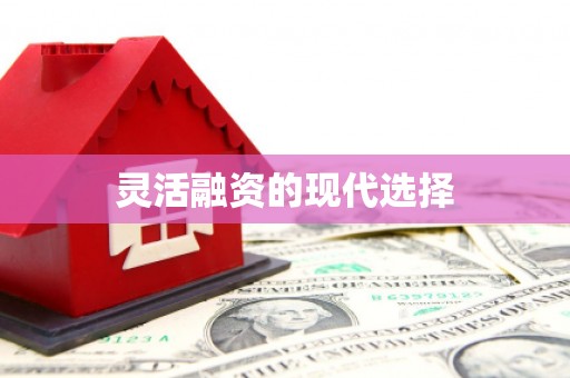 资源灵活融资的现代选择
