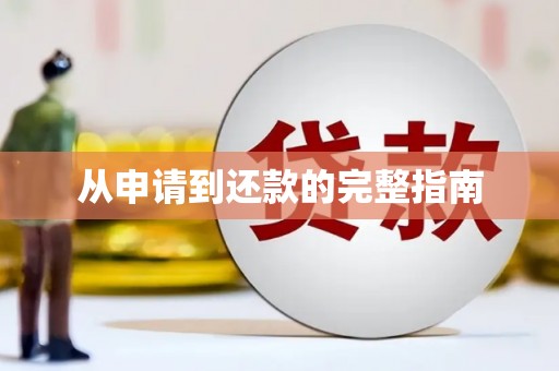 丹徒从申请到还款的完整指南