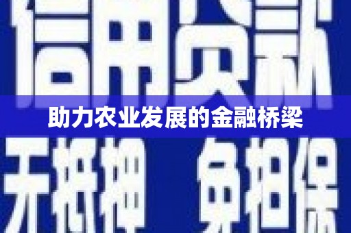 兰屿助力农业发展的金融桥梁