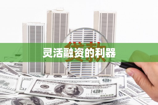 东阳灵活融资的利器