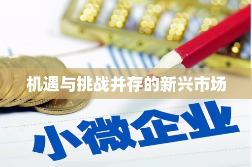 虎林机遇与挑战并存的新兴市场
