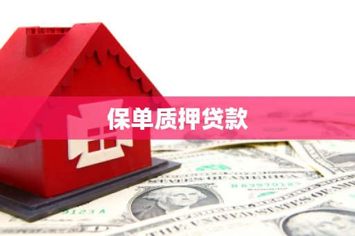 当涂保单质押贷款