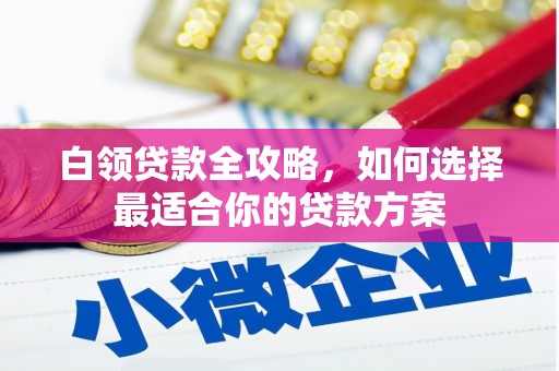 普湾新区白领贷款全攻略，如何选择最适合你的贷款方案