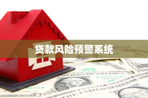 莎车贷款风险预警系统