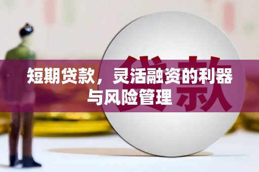 颍州短期贷款，灵活融资的利器与风险管理