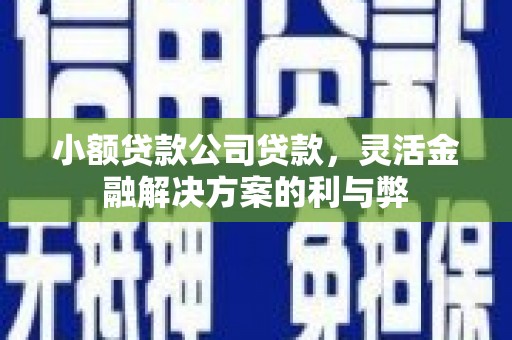 官渡小额贷款公司贷款，灵活金融解决方案的利与弊