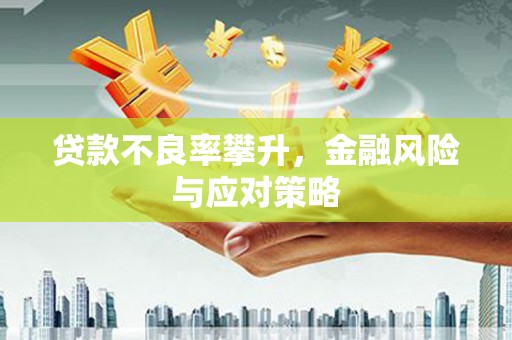 乐东贷款不良率攀升，金融风险与应对策略