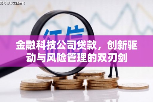 上城金融科技公司贷款，创新驱动与风险管理的双刃剑